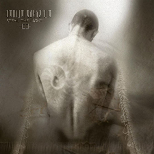 Steal the Light cover art