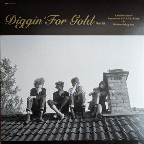 Diggin for Gold, Vol. 15 cover art
