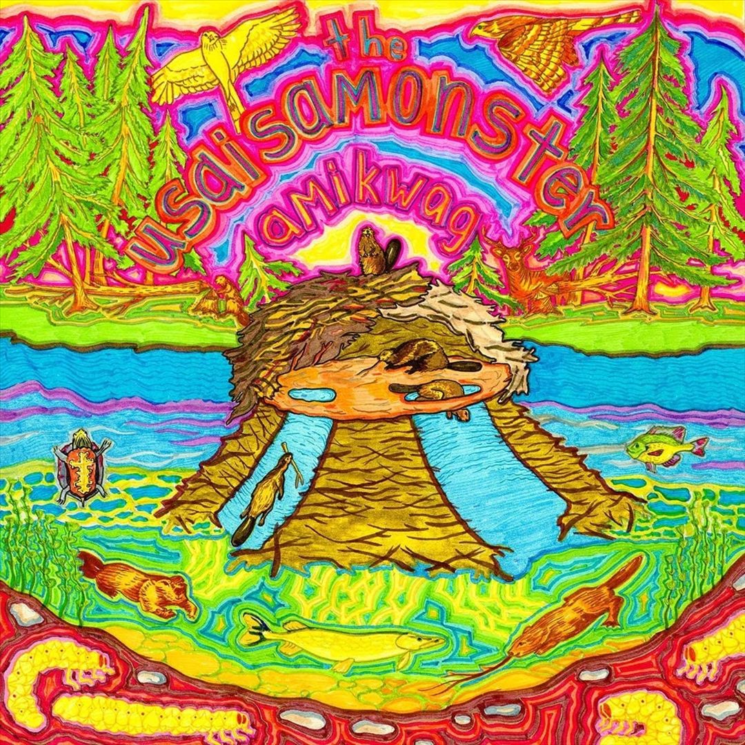 Amikwag cover art