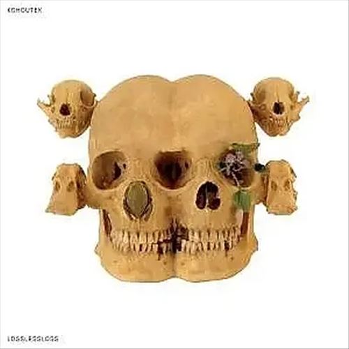 Lossless Loss cover art