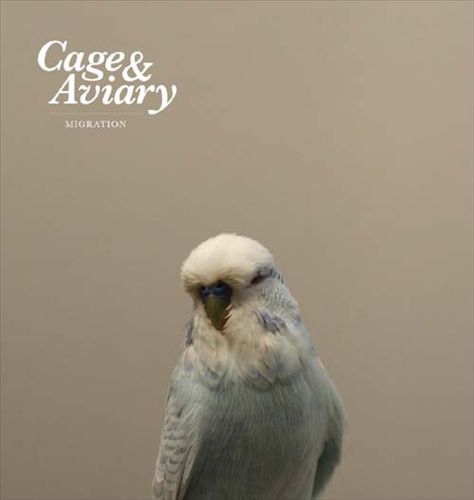 Migration cover art
