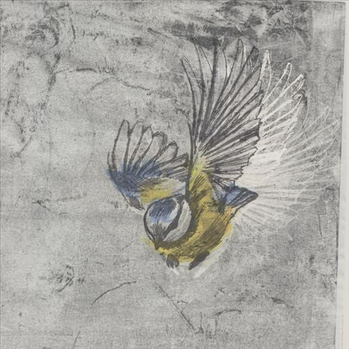 Heliotrope cover art