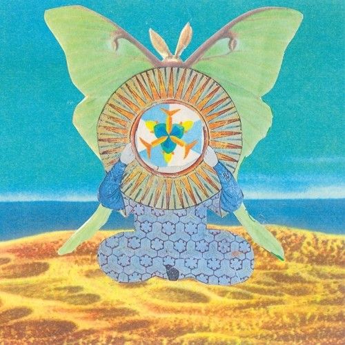 Jingling World of the Skygreen Leopards cover art