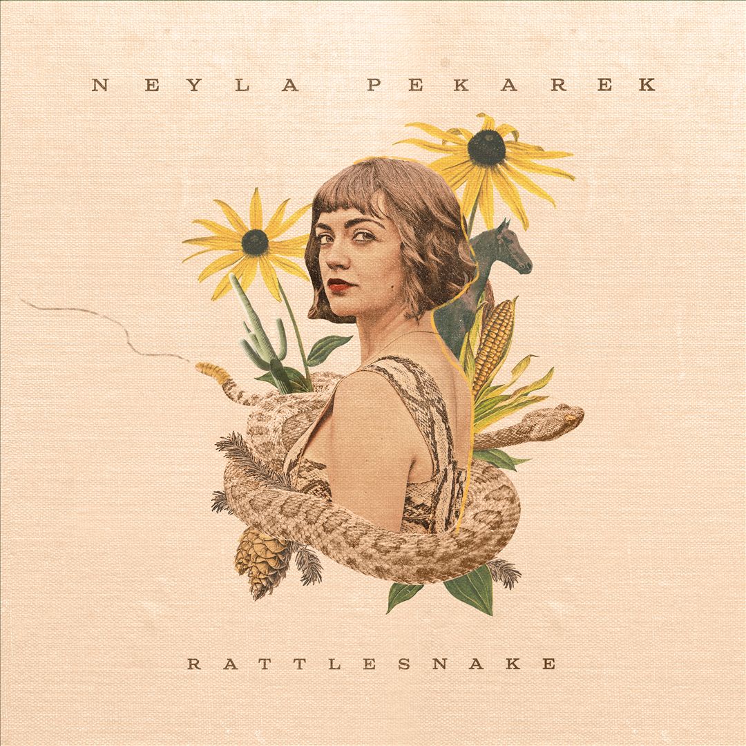 Rattlesnake cover art