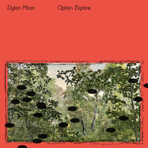 Option Explore cover art