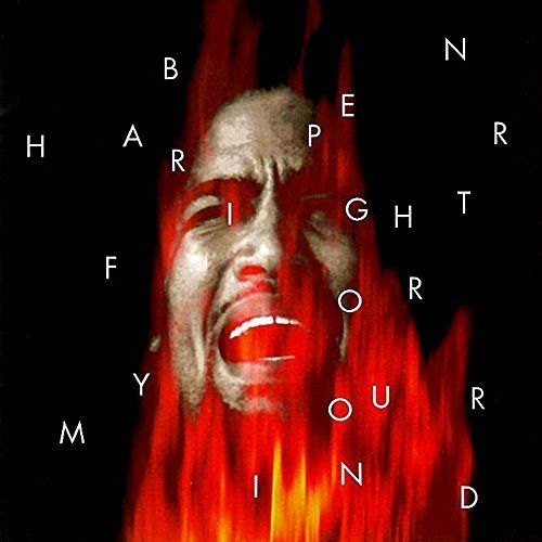 Fight for Your Mind cover art