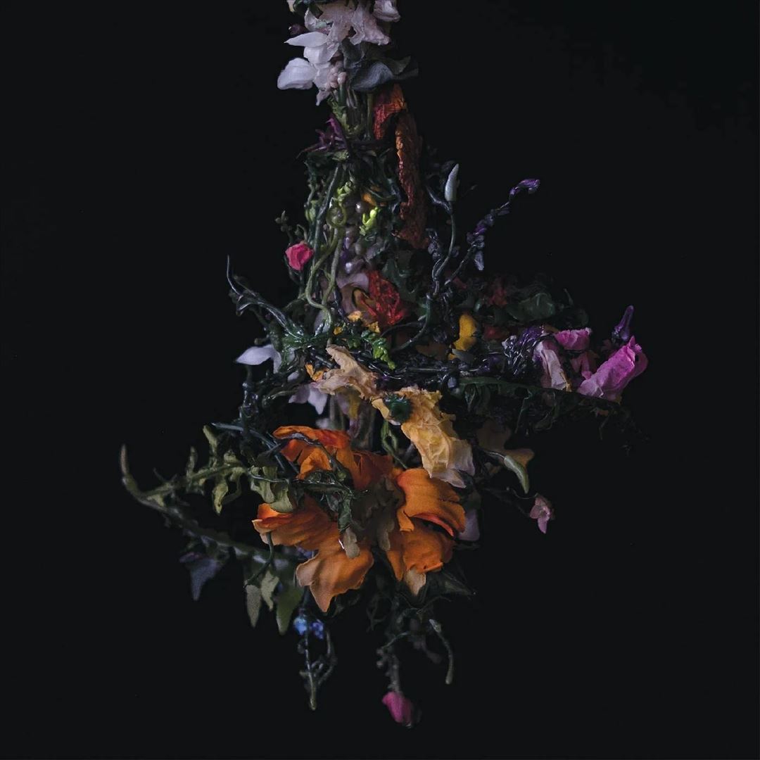 nature morte cover art