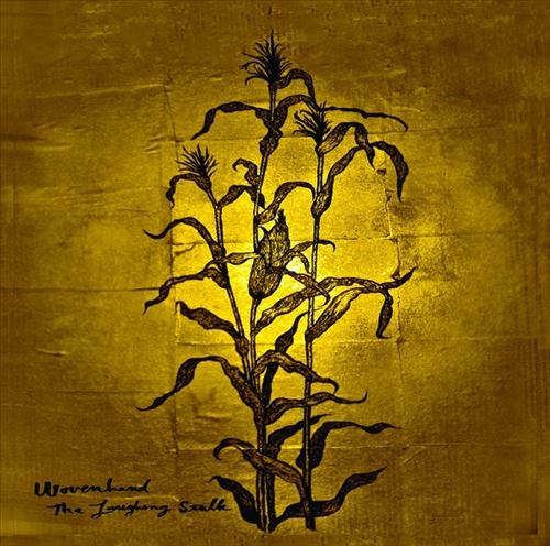 Laughing Stalk cover art