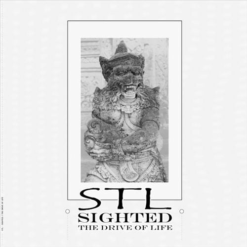 Sighted (The Drive of Life) cover art