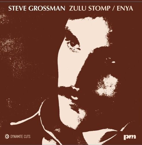 Zulu Stomp/Enya cover art