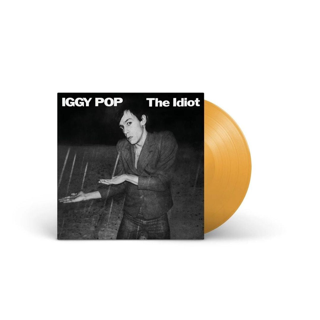 Idiot cover art