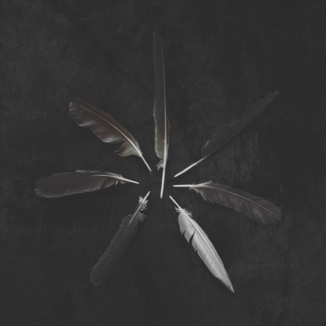 Dust and Disquiet cover art