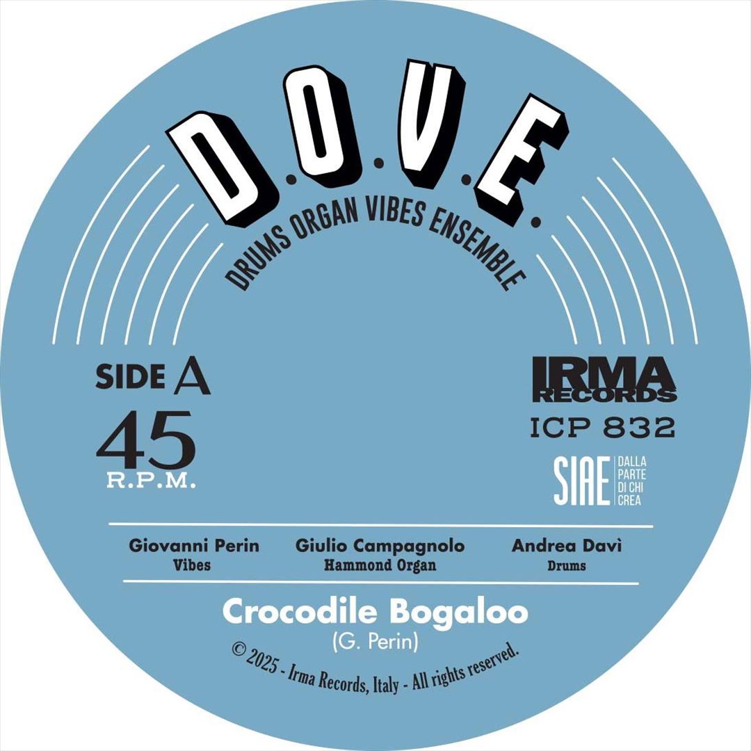 Crocodile Bogaloo cover art