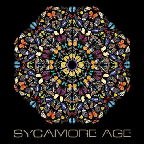 Sycamore Age cover art