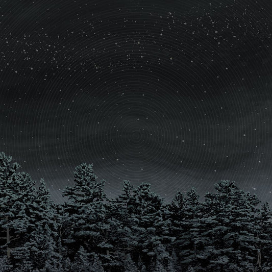 Besnard Lakes Are the Prayers for the Death of Fame cover art