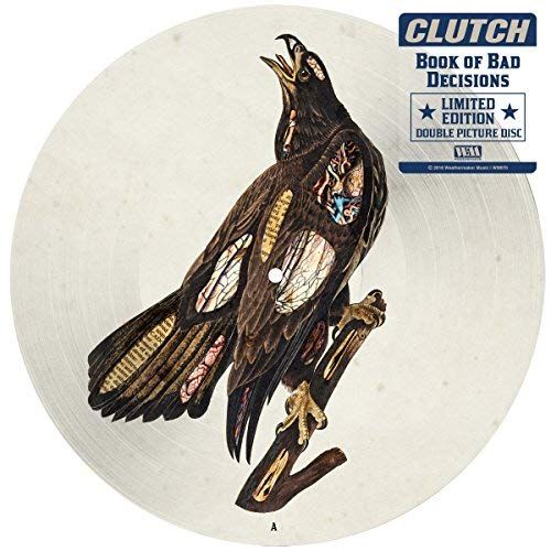 Book of Bad Decisions [2LP Picture Disc] cover art