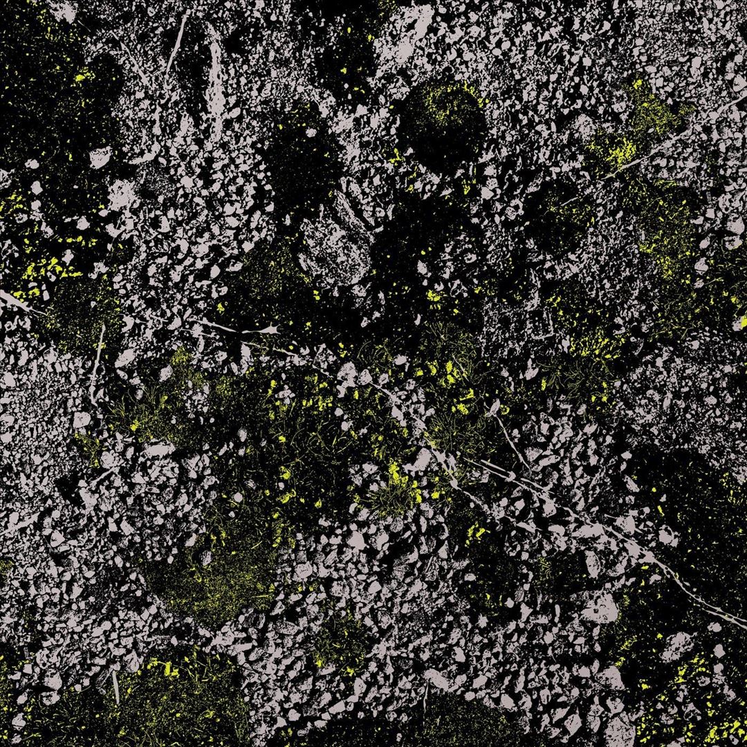 Infest the Rats Nest [Live at Red Rocks 2022] cover art