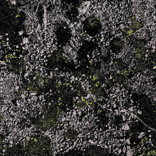 Infest the Rats Nest [Live at Red Rocks 2022] cover art