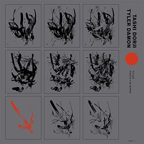 To Catch a Bird in a Net of Wind cover art