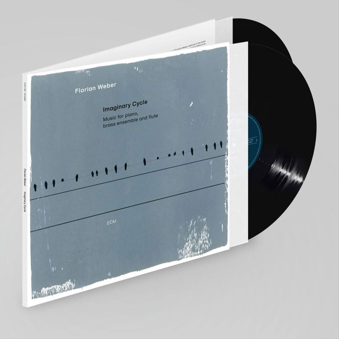 Imaginary Cycle [2 LP] cover art