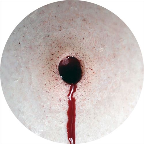 Assassin cover art