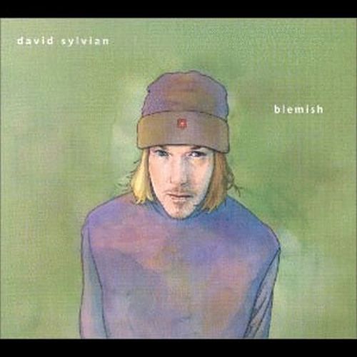 Blemish cover art