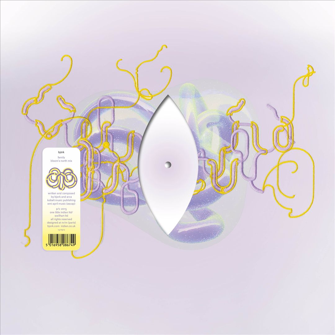 Family [Bloom North Mix] cover art