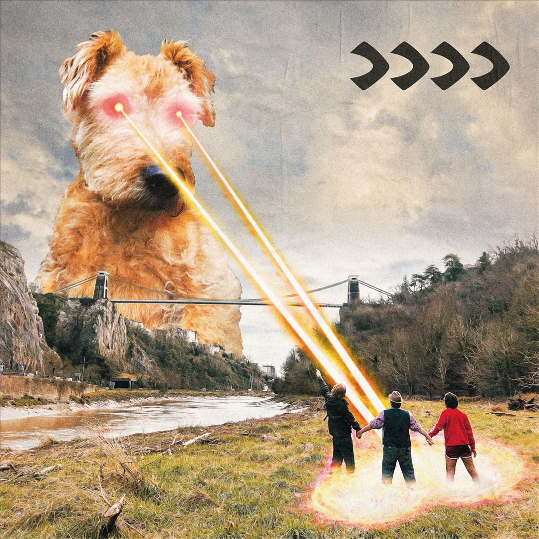 Beak IIII cover art