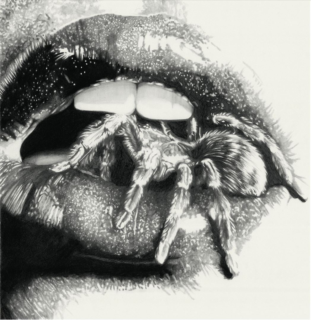 Masheena - Let The Spiders In [LP] cover art