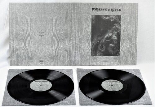 Steineiche cover art