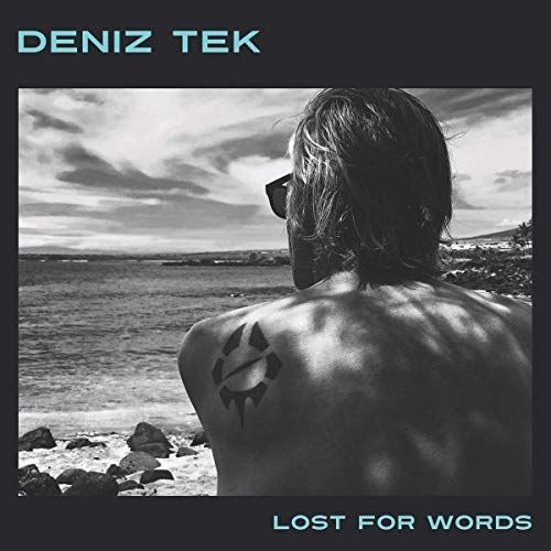 Lost for Words cover art