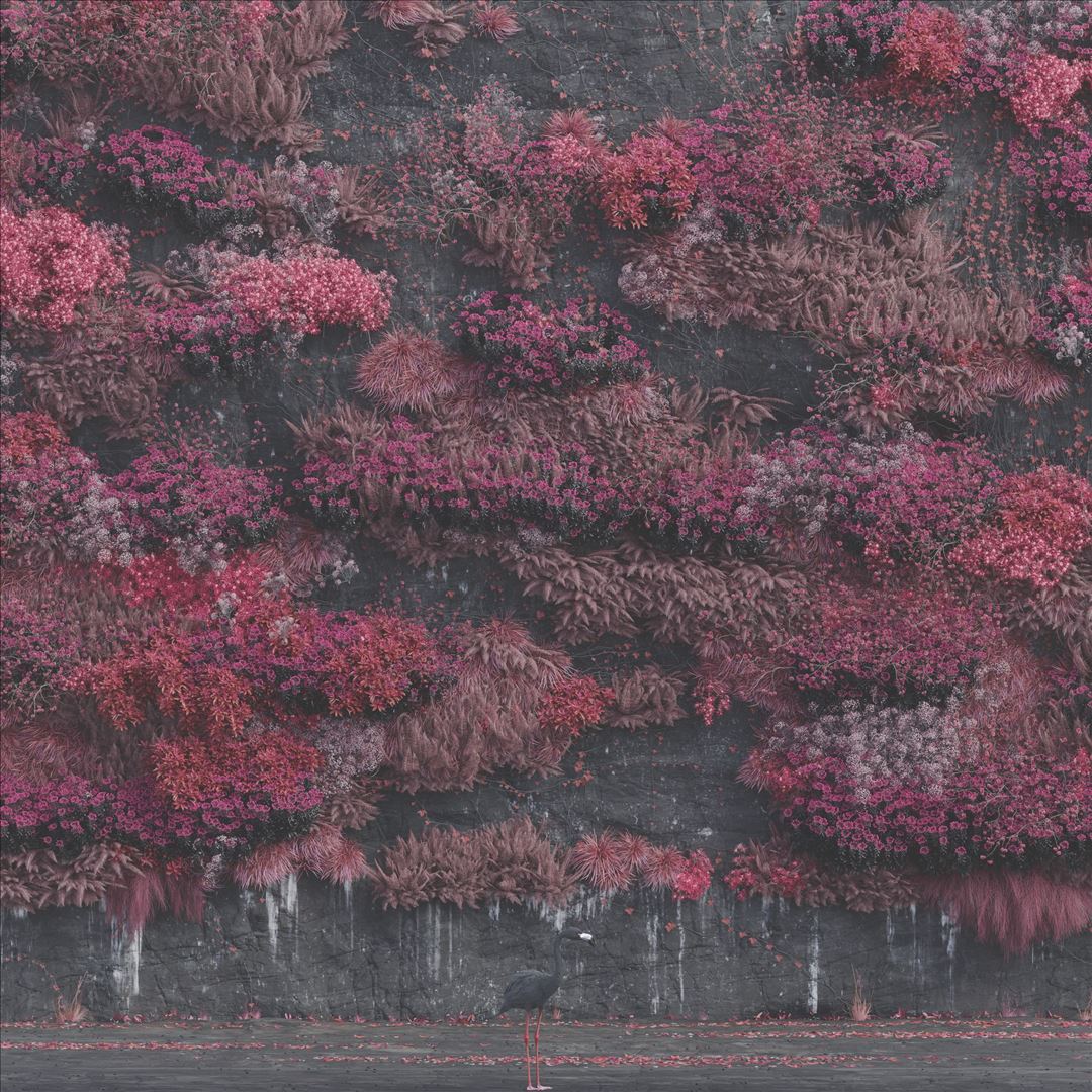 Even in Arcadia cover art