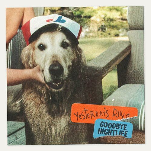 Goodbye Nightlife cover art