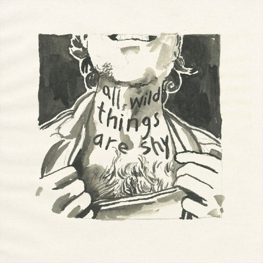 All Wild Things Are Shy cover art