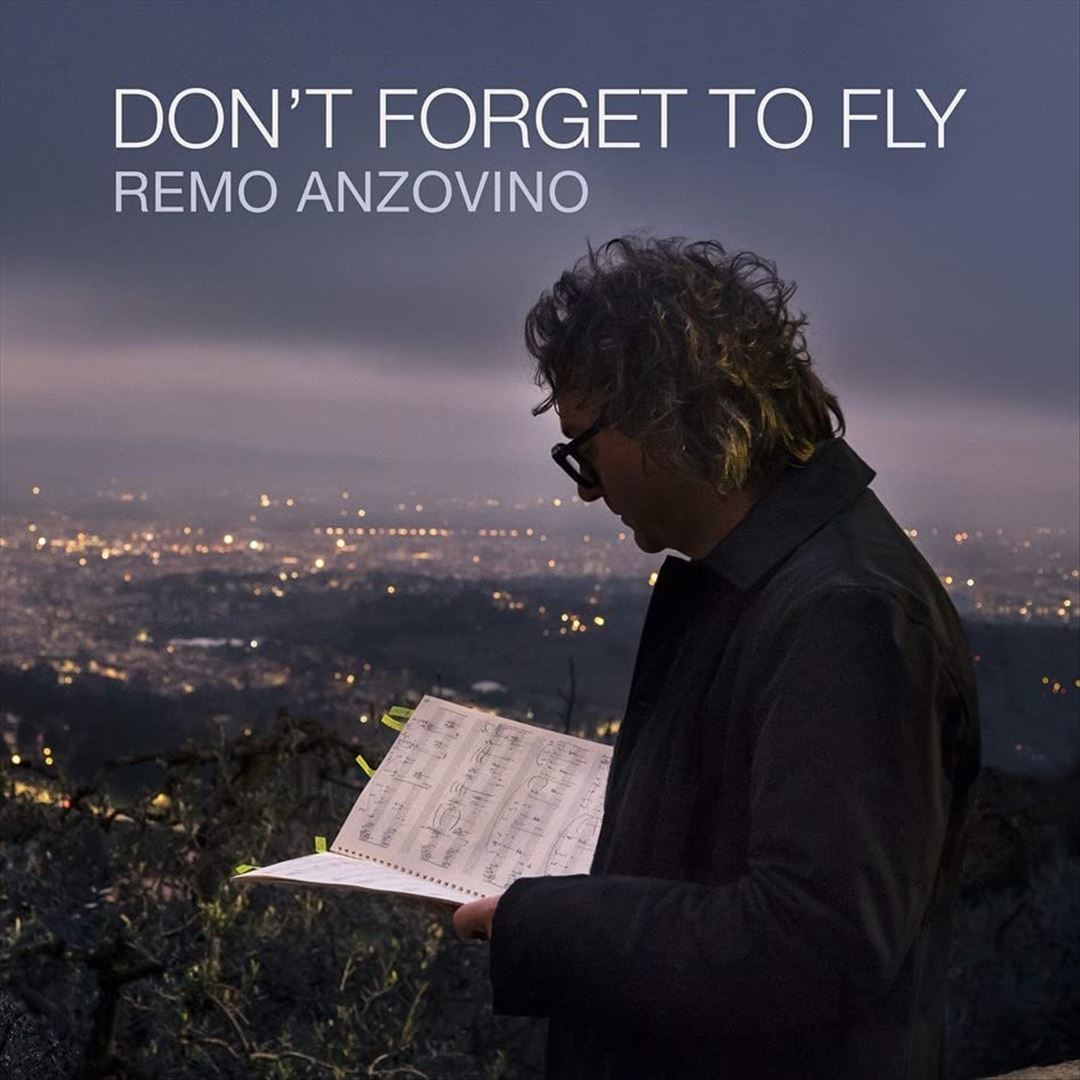 Don't Forget to Fly cover art