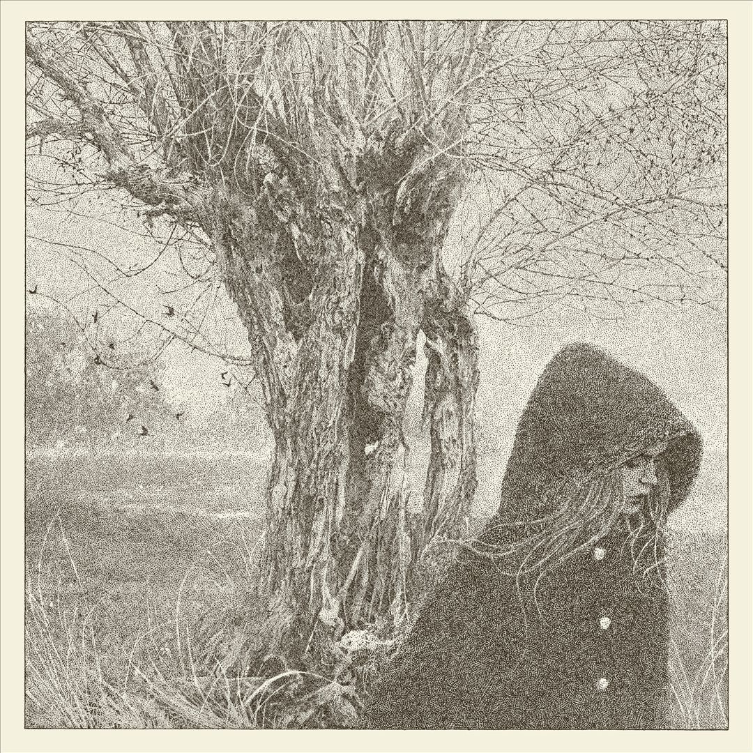 Between the Earth & Sky cover art