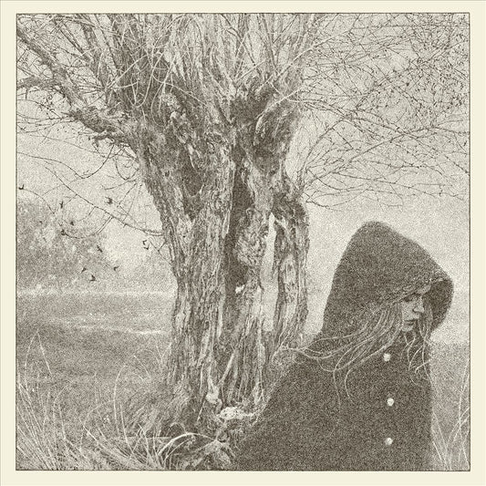 Between the Earth & Sky cover art