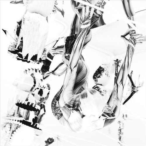 Crocodile cover art