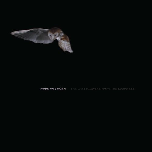 Last Flowers from the Darkness cover art