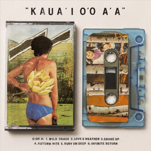 Kaua'i O'O A'a cover art