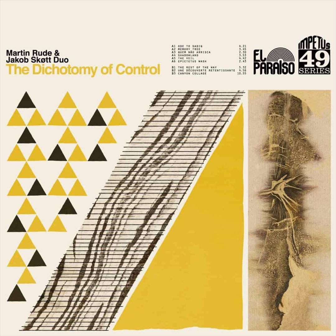Dichotomy of Control cover art