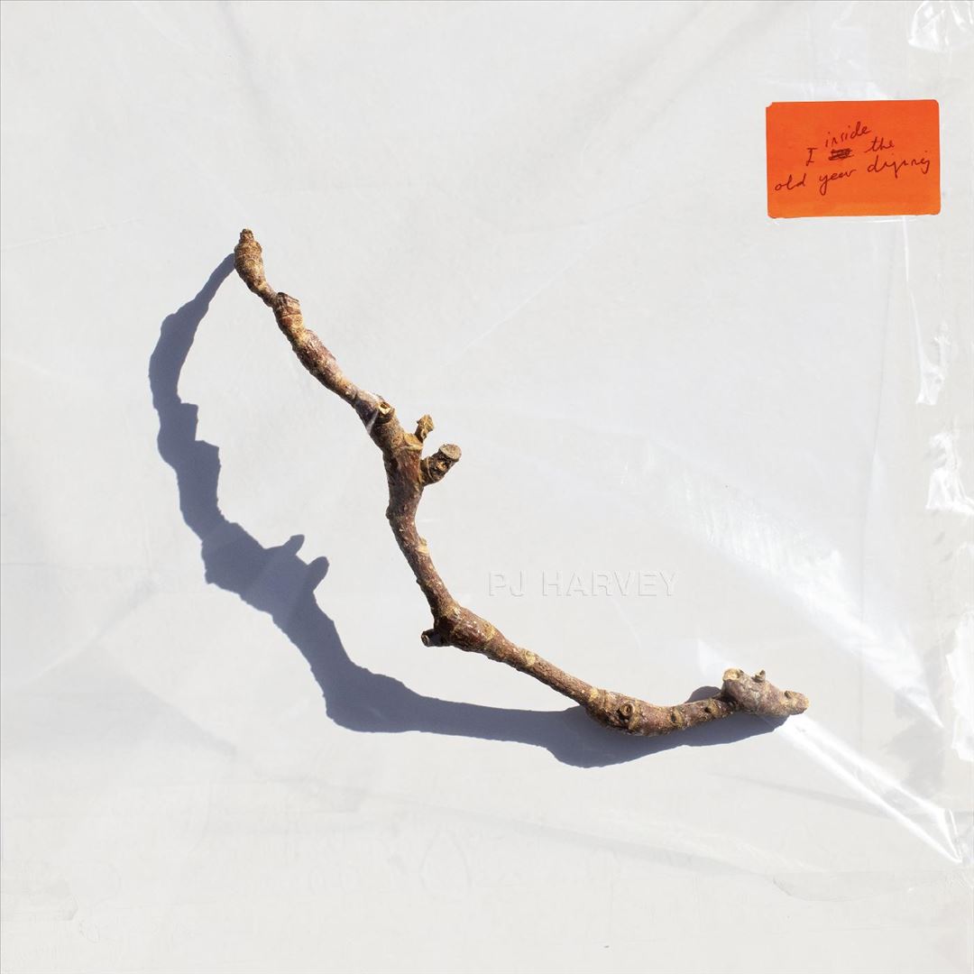 I Inside the Old Year Dying cover art