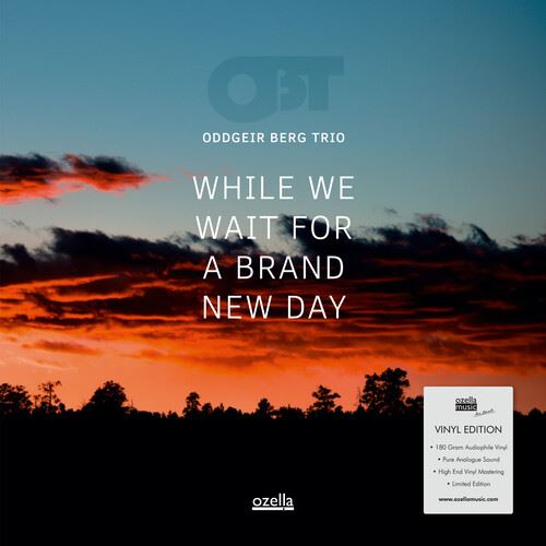 While We Wait For A Brand New Day cover art