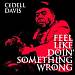 Feel Like Doin' Something Wrong cover art