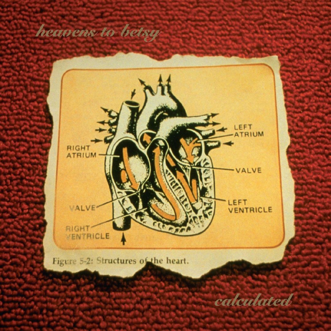 Calculated [Lake Louise Vinyl] cover art