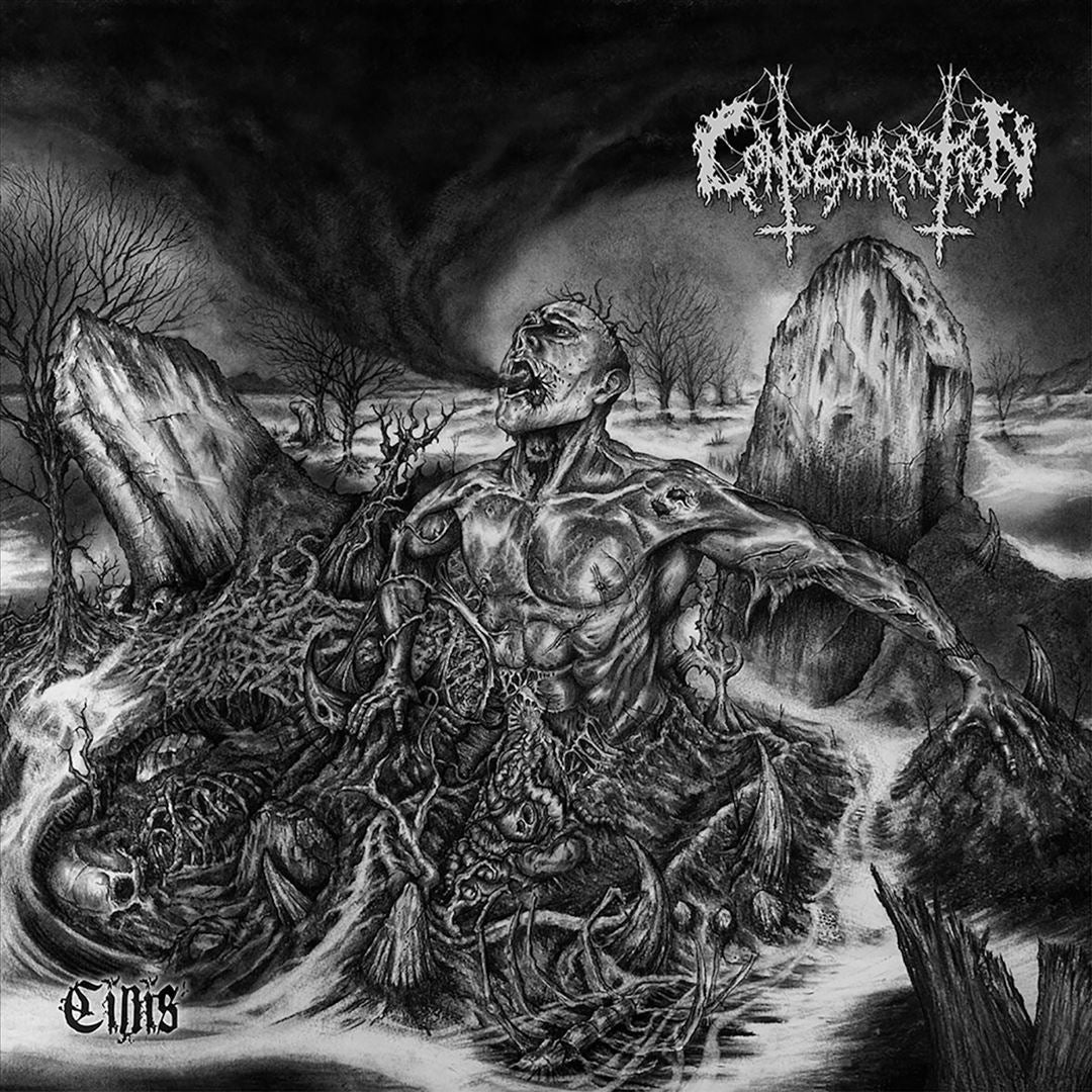 Cinis cover art