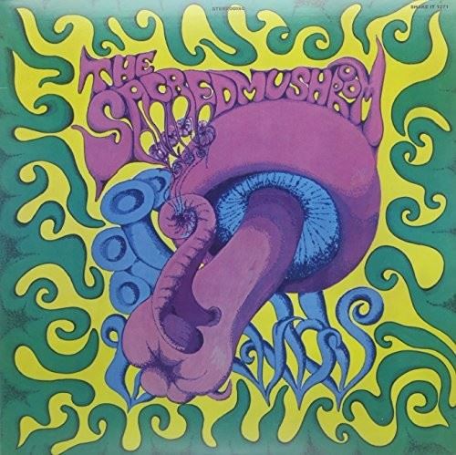 Shake It Mushroom cover art