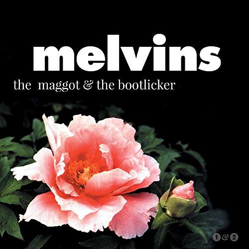 Maggot/The Bootlicker cover art