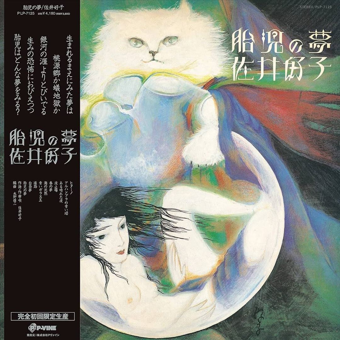 Taiji No Yume cover art
