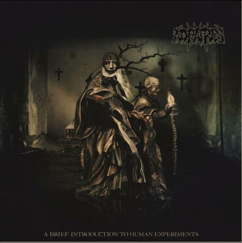 Brief Introduction to Human Experiments cover art